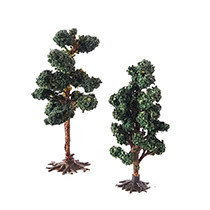 D33- 2 Loofbomen