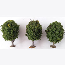 D32 - 3 Loofbomen (2)