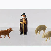 D81 - Schaapsherder met dieren