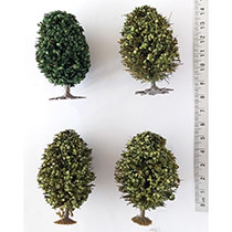 D33 - Kavel 5 met 4 loofbomen.
